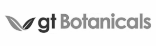 GT BOTANICALS logo