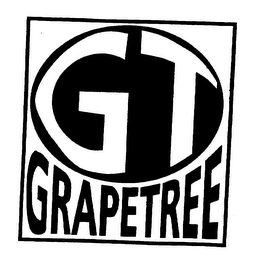 GT GRAPETREE logo