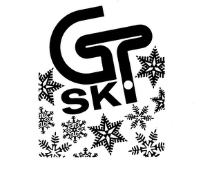 GT SKI logo