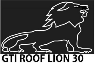 GTI ROOF LION 30 logo