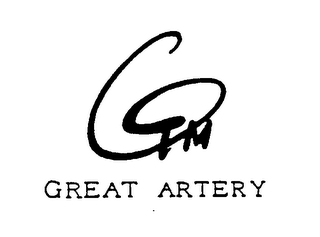 GTM GREAT ARTERY