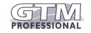GTM PROFESSIONAL logo