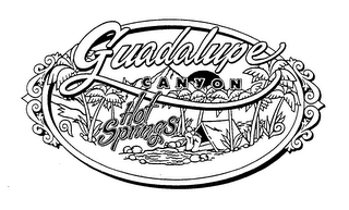 GUADALUPE CANYON HOT SPRINGS logo