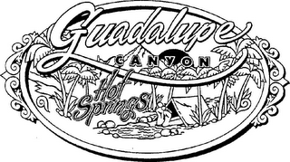 GUADALUPE CANYON HOT SPRINGS logo