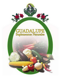 GUADALUPE SUPLEMENTOS NATURALES logo