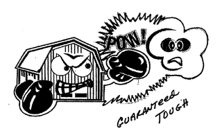 GUARANTEED TOUGH POW! logo