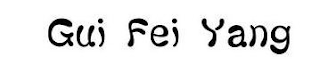 GUI FEI YANG logo