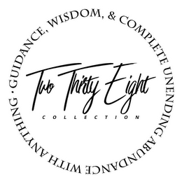 GUIDANCE, WISDOM, & COMPLETE UNENDING ABUNDANCE WITH ANYTHING  · TWO THIRTY EIGHT COLLECTION logo
