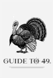 GUIDE TO 49 logo