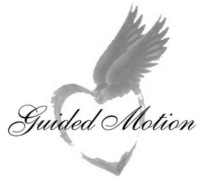 GUIDED MOTION logo