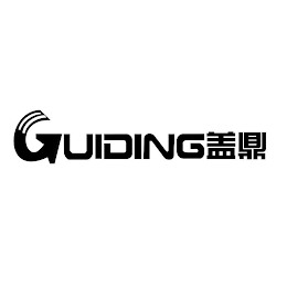 GUIDING logo