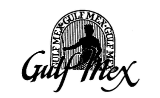 GULF MEX GULF MEX logo