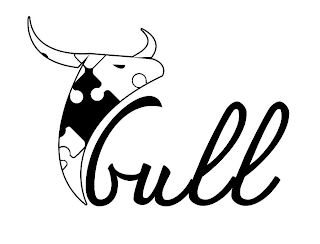 GULL logo