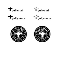 GULLY SURF, GULLY SURF, GULLY SKATE, GULLY SKATE, GULLY SURF SAN DIEGO, CA. SURF & SKATE logo