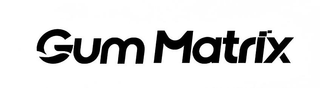 GUMMATRIX logo
