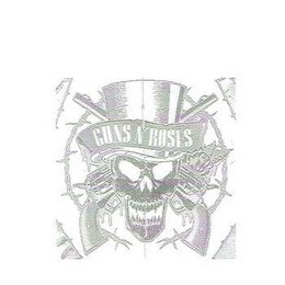 GUNS N ROSES logo