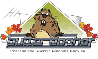 GUTTER GOPHER PROFESSIONAL CLEANING SERVICE logo