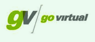 GV GO VIRTUAL logo