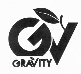GV GRAVITY logo