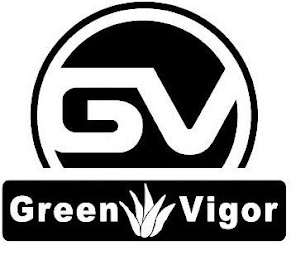 GV GREEN VIGOR logo