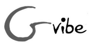GVIBE logo