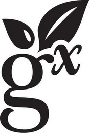 GX logo