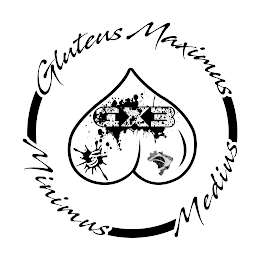 GX3 GLUTEUS MAXIMUS MINIMUS MEDIUS 55 logo