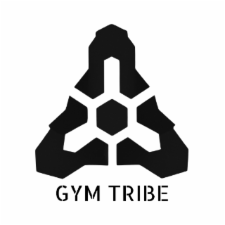 GYM TRIBE logo