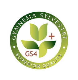 GYMNEMA SYLVESTRE SUPERIOR QUALITY GS4 + logo