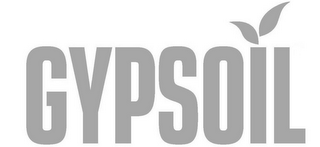GYPSOIL logo
