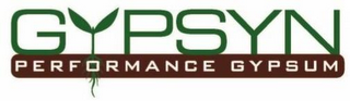 GYPSYN PERFORMANCE GYPSUM logo