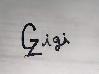 GZIGI logo
