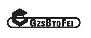 GZSBYQFEI logo