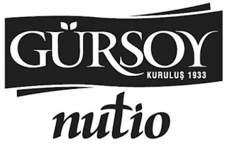 GÜRSOY KURULUS 1933 NUTIO logo