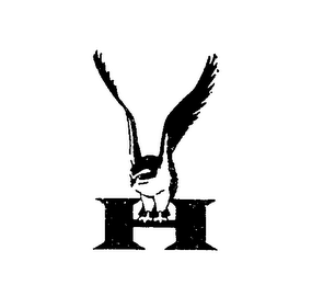 H logo