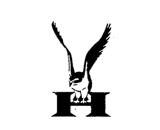 H logo
