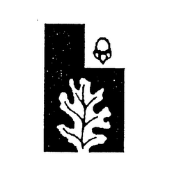 H logo