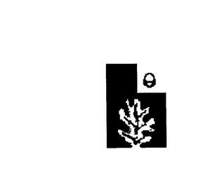 H logo