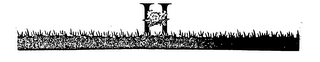H logo