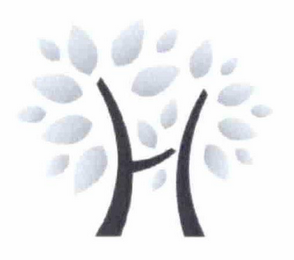 H logo