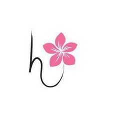 H logo