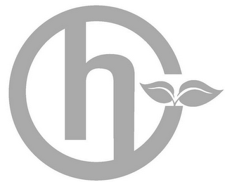 H logo