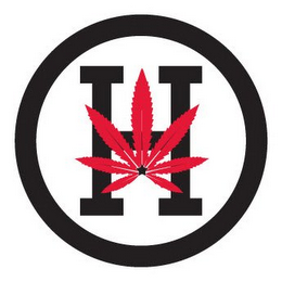 H logo