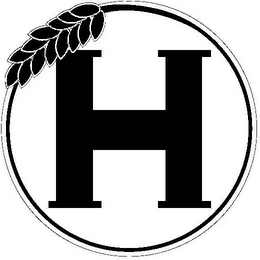 H logo