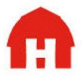 H logo