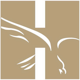 H logo