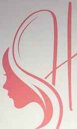 H logo