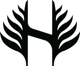 H logo