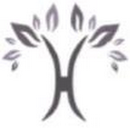H logo