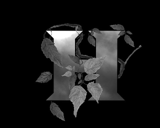 H logo